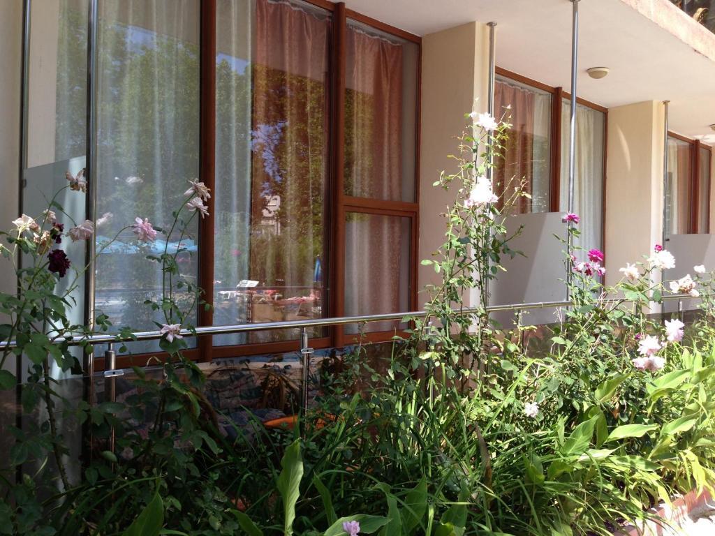 סאני ביץ' Jupiter Hotel מראה חיצוני תמונה