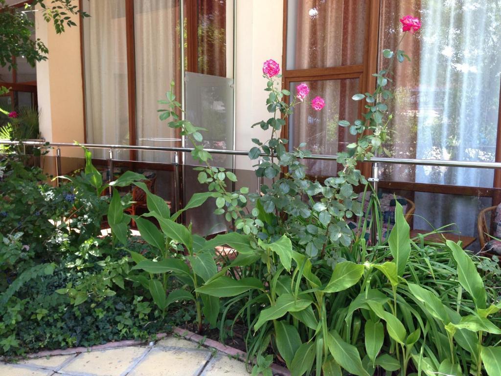 סאני ביץ' Jupiter Hotel חדר תמונה